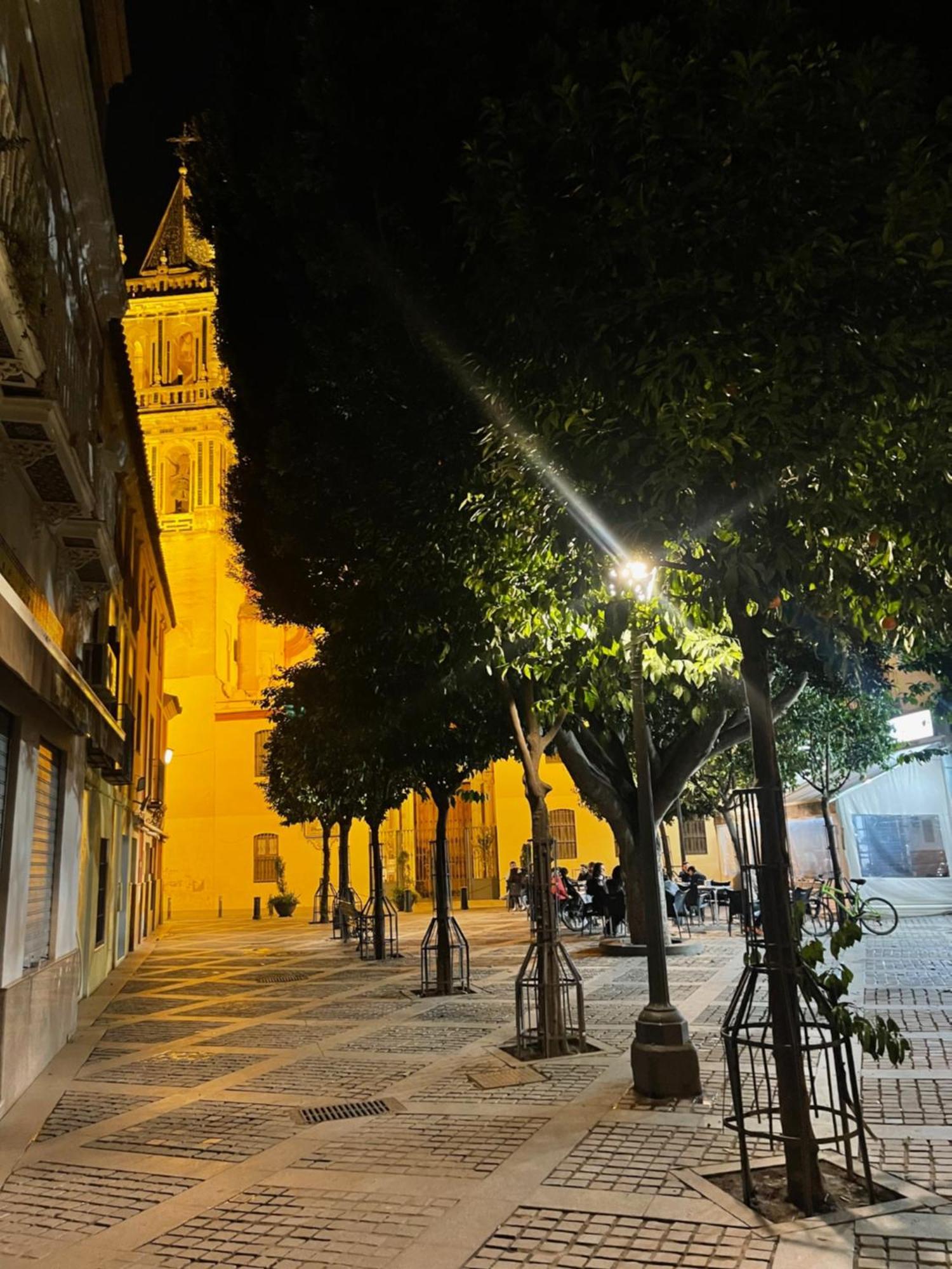 Apartamento Calle Rodrigo De Triana Con Opcion De Parking Sevilla Dış mekan fotoğraf